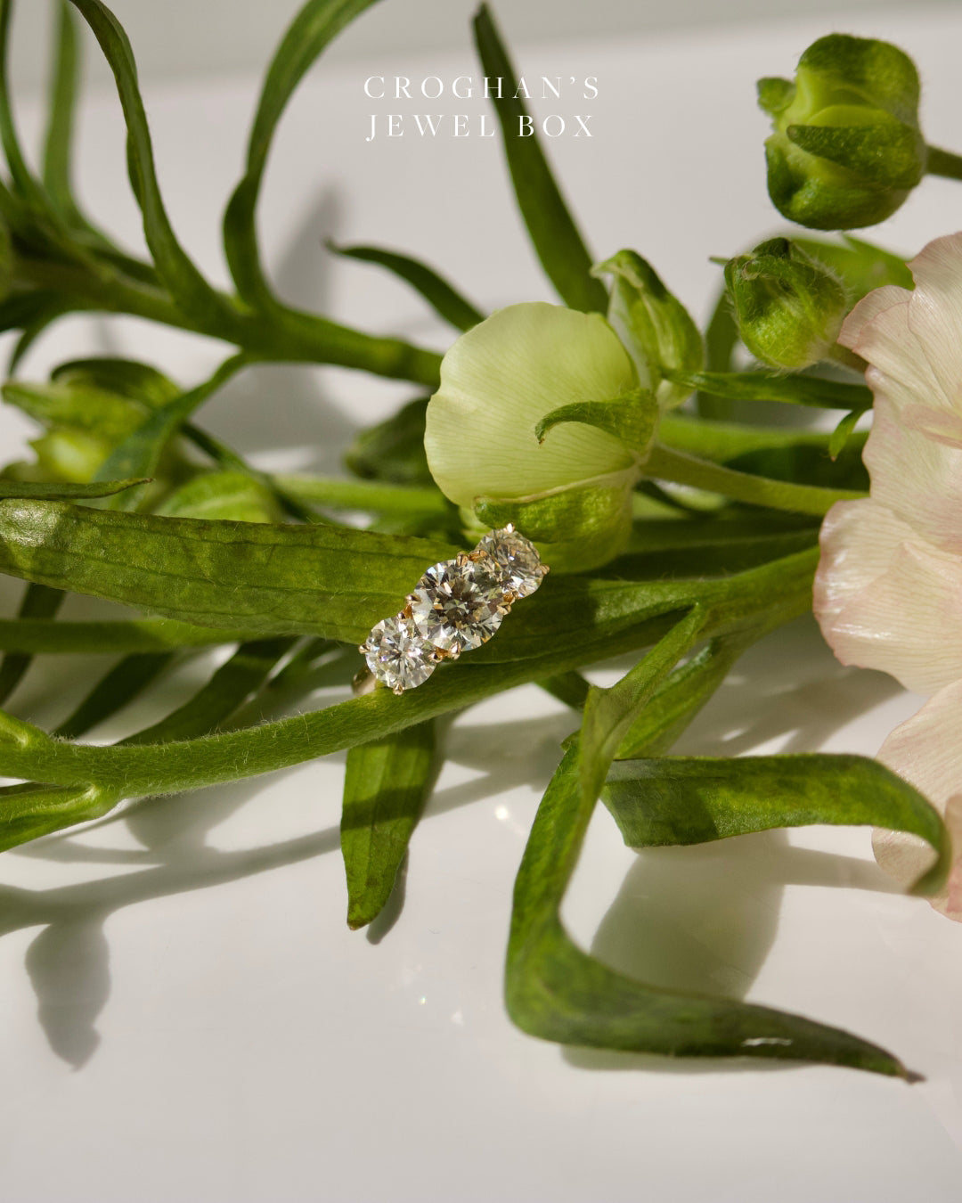 The Timeless Value of Natural Diamonds