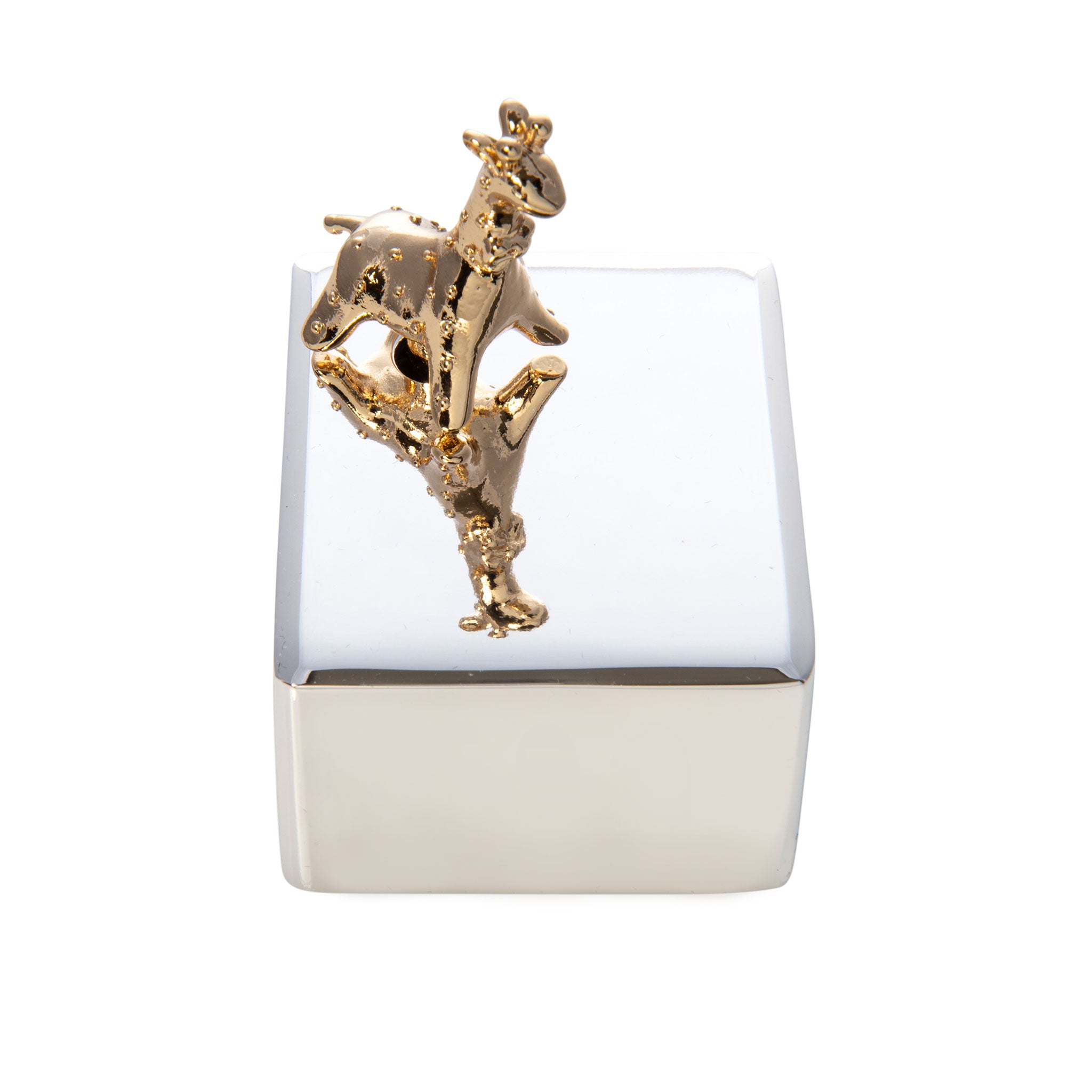 Baby Giraffe Music Box